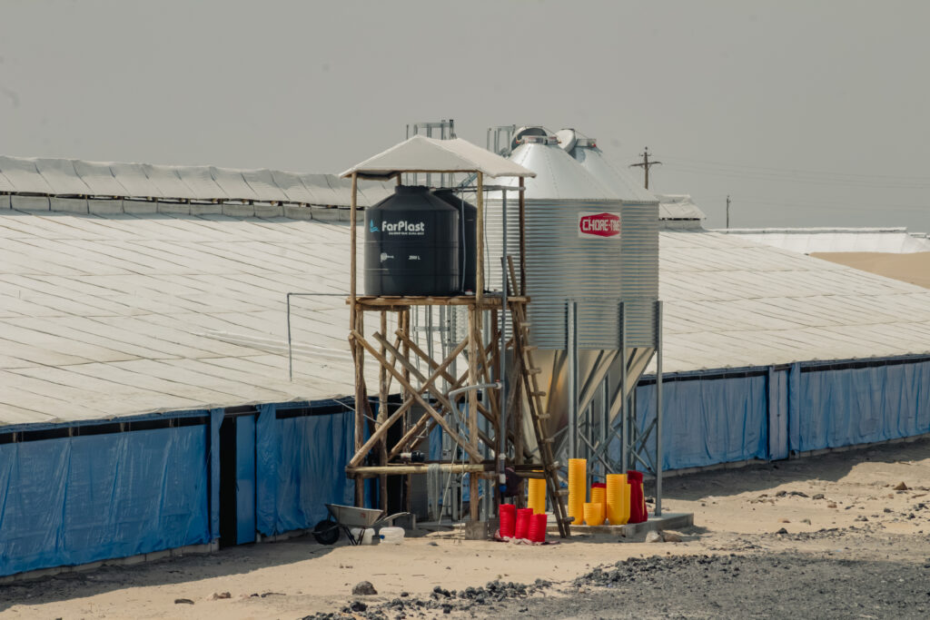 mamatembo horizontal-76