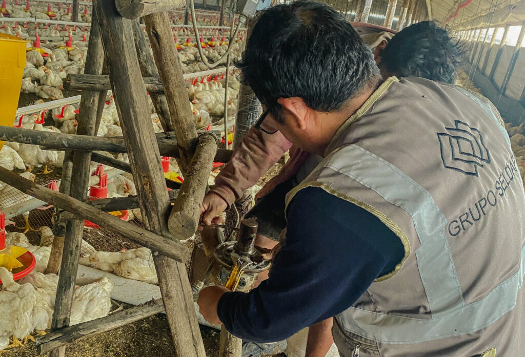 serviciosgs-3